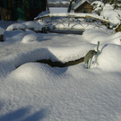 2012-12-12 10_51_16.jpg