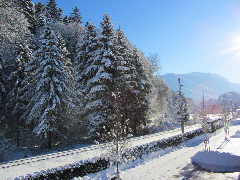 IMG_0304_JPG-1355318978