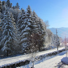 gisingen im schnee
