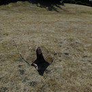 HBC-Quantum-Stealth-sniper-cover_small.jpg
