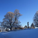 IMG_3967_JPG-1355321763