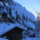IMG_3968_JPG-1355321823
