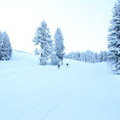 IMG_3984_JPG-1355321963