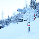 IMG_4003_JPG-1355322157