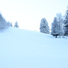 IMG_4005_JPG-1355322196