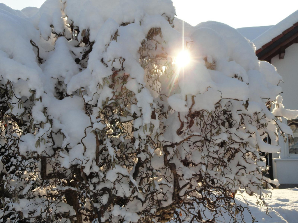 DSC03626_JPG-1355323036