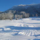 IMG_2483_JPG-1355324427