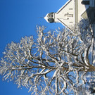IMG_2491_JPG-1355324616
