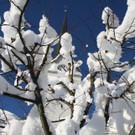 IMG_1759_jpg-1355327016