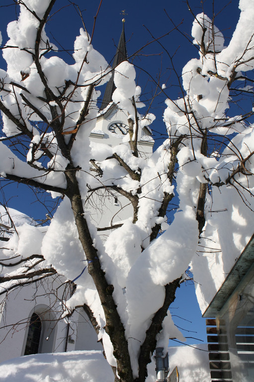 IMG_1759_jpg-1355327016