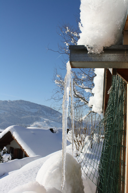 IMG_1831_jpg-1355327138