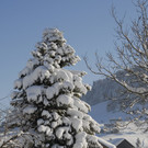 _DSC0682.jpg
