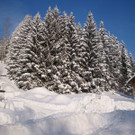 normal_12122012_FMT_winteridylleebenau_ex_02.jpg