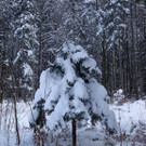 normal_12122012_FMT_winteridylleebenau_ex_06.jpg