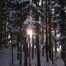 normal_12122012_FMT_winteridylleebenau_ex_08.jpg