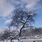 normal_12122012_FMT_winteridylleebenau_ex_21.jpg