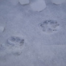 normal_12122012_FMT_winteridylleebenau_ex_34.jpg