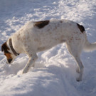 normal_12122012_FMT_winteridylleebenau_ex_35.jpg