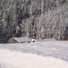 normal_12122012_FMT_winteridylleebenau_ex_36.jpg