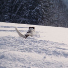 normal_12122012_FMT_winteridylleebenau_ex_42.jpg