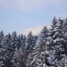 normal_12122012_FMT_winteridylleebenau_ex_45.jpg