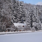 normal_12122012_FMT_winteridylleebenau_ex_46.jpg
