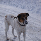 normal_12122012_FMT_winteridylleebenau_ex_47.jpg