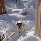 normal_12122012_FMT_winteridylleebenau_ex_48.jpg