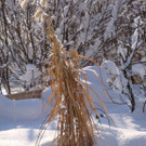 normal_12122012_FMT_winteridylleebenau_ex_50.jpg