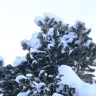 121212wetterat04001aktivnews14.JPG