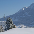 DSC06387.JPG