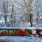 DSC_0011-1.jpg