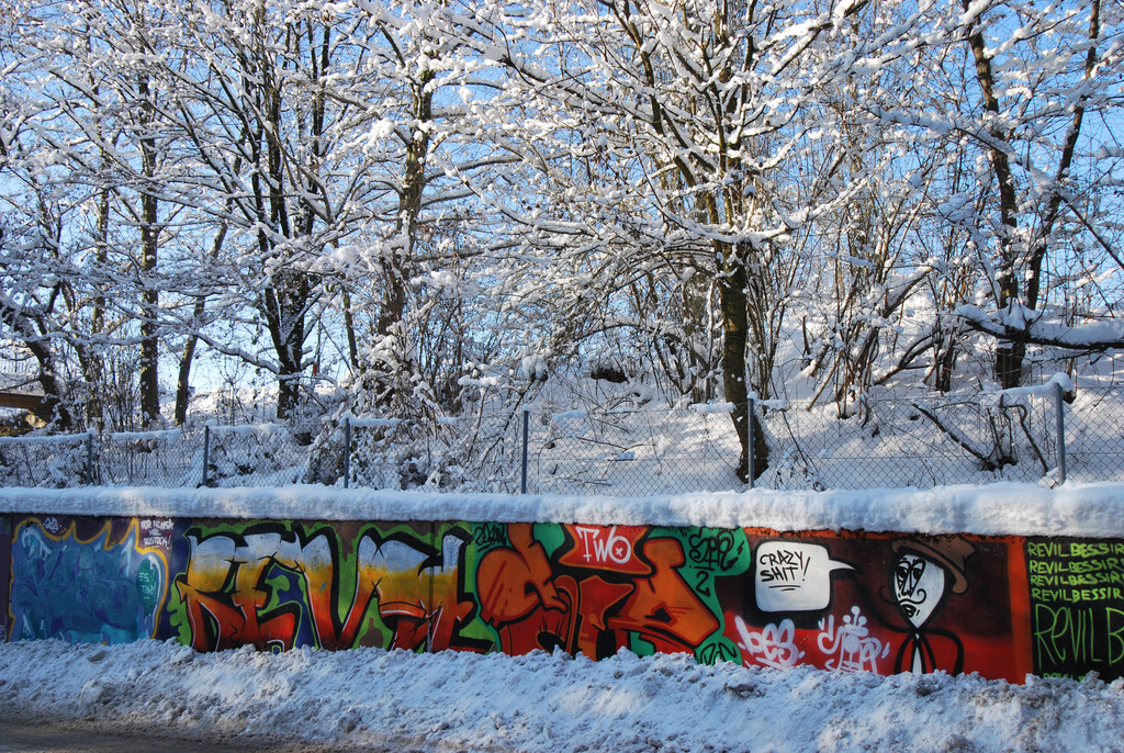 DSC_0011-1.jpg