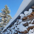 DSC_0016-1.jpg