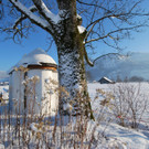 DSC_0067-1.jpg