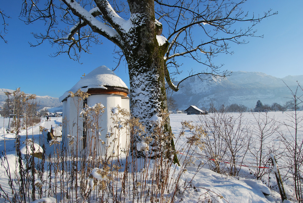 DSC_0067-1.jpg