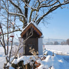 DSC_0090-1.jpg