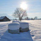 DSC_0105-1.jpg