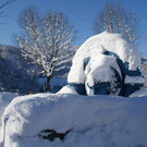 DSC06416.JPG