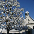 DSC06429.JPG