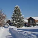 DSC06437.JPG