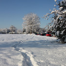Winterlandschaft Hard 010_JPG-1355333507