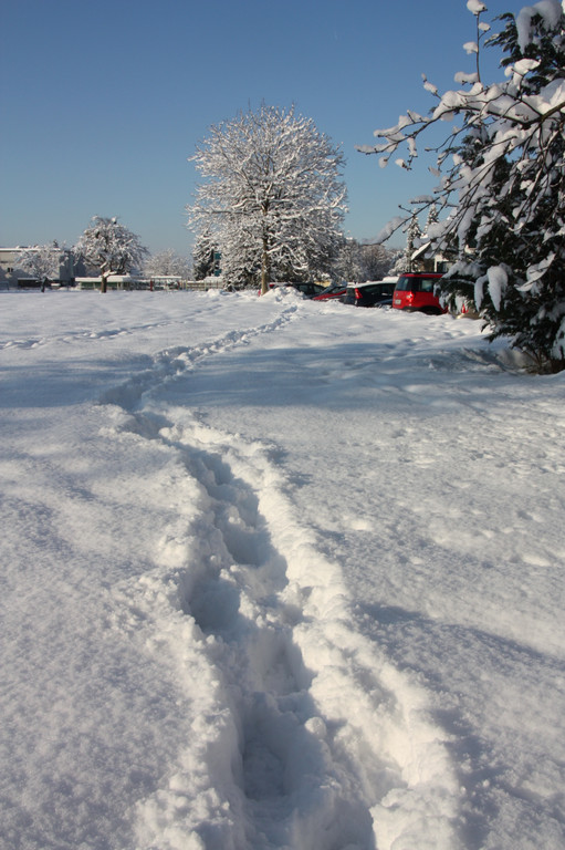 Winterlandschaft Hard 010_JPG-1355333507