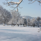 Winterlandschaft Hard 026_JPG-1355333619
