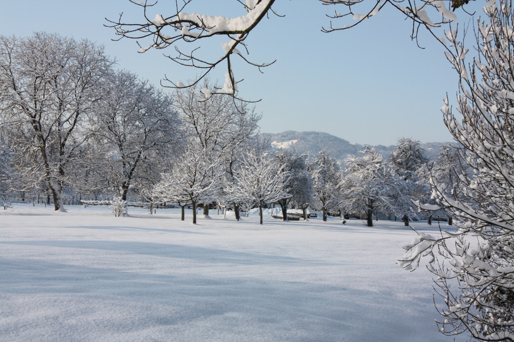 Winterlandschaft Hard 026_JPG-1355333619