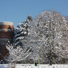 Winterlandschaft Hard 034_JPG-1355333843