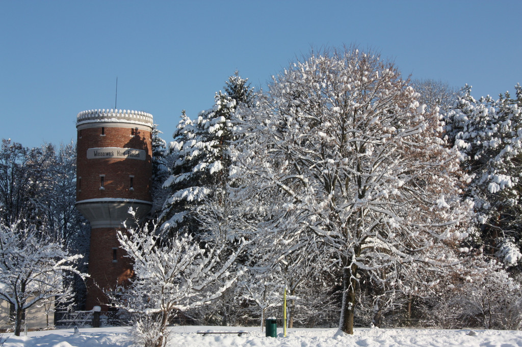 Winterlandschaft Hard 034_JPG-1355333843