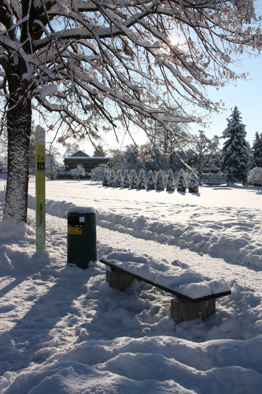 Winterlandschaft Hard 037_JPG-1355333977