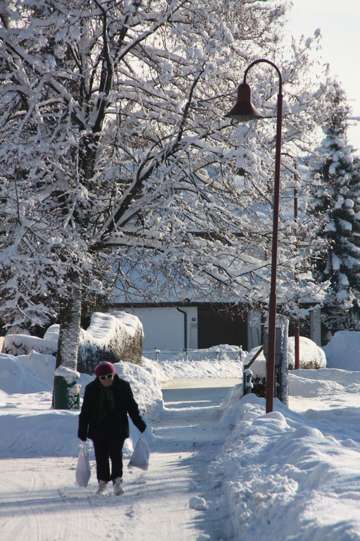 Winterlandschaft Hard 042_JPG-1355334101
