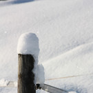 Winterlandschaft Hard 053_JPG-1355334345